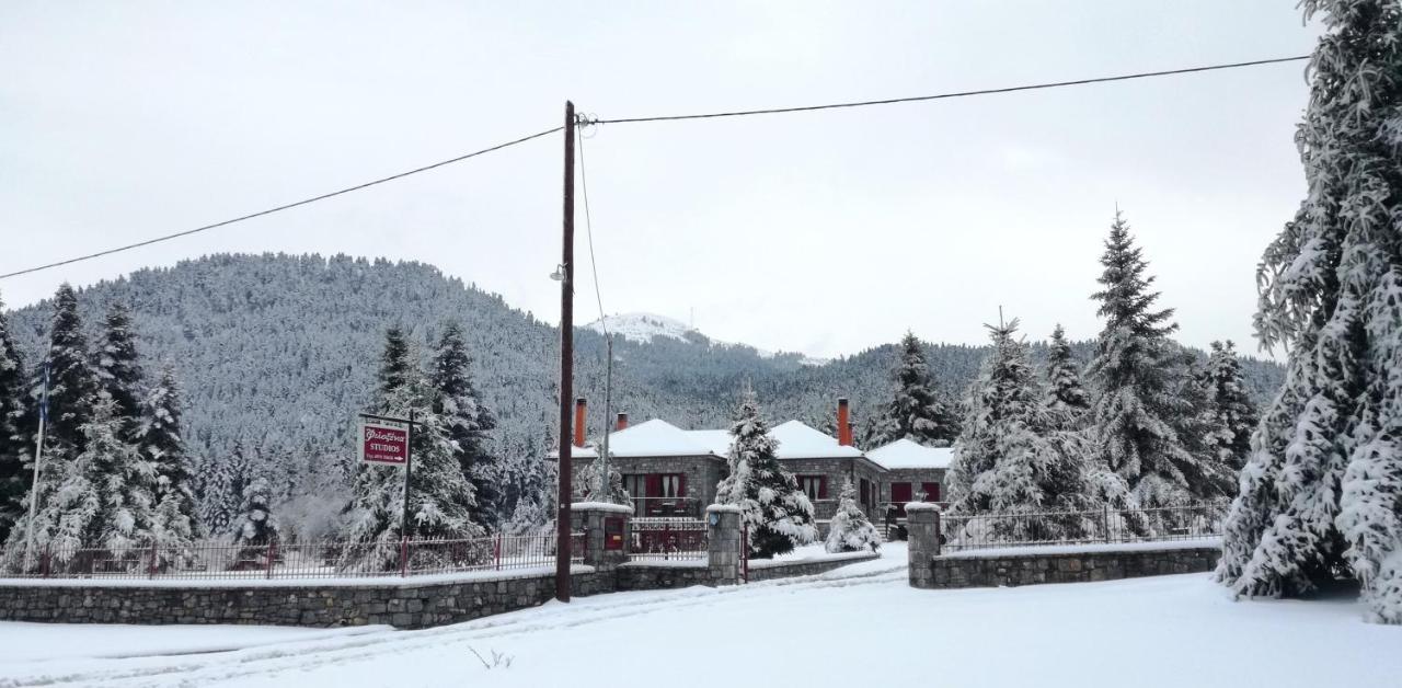 Φιλοξένια Studios Vitina Bagian luar foto
